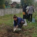 В Иванове появилась «серебристая» аллея