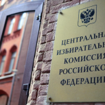Мосгоризбирком не получил жалоб на результаты онлайн-голосования на выборах в Госдуму