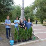 Активисты партии приняли участие в акции «Лес Победы»