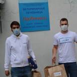 Тульские волонтеры провели акцию по оказанию помощи бездомным животным