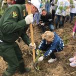 Участники экомарафона «Дни зелёных действий» посадили лес в Мытищах