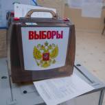 В 33 районах края проходят выборы советов и глав поселений