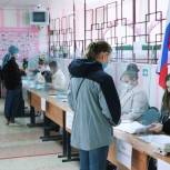 Более 52 процентов жителей Тамбовской области проголосовали к 15.00