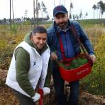 Александр Ведерников принял участие во Всероссийской акции «Сохраним лес»