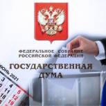 Представители партий признали выборы в Калмыкии действительными