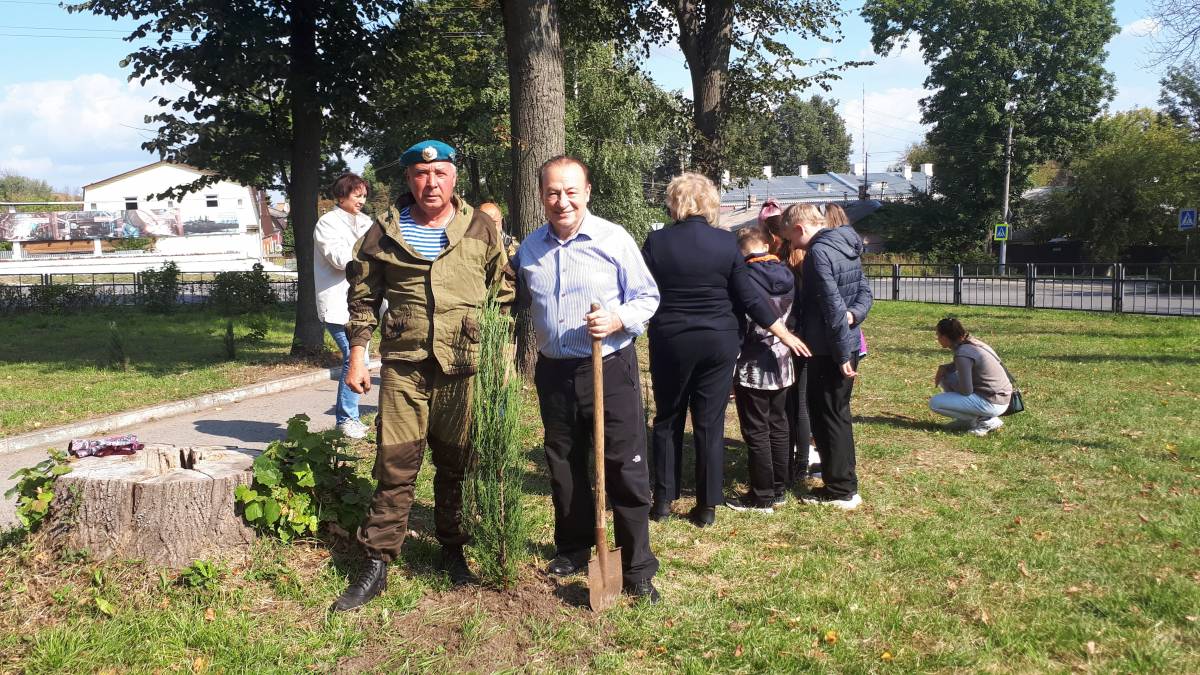 В честь 875-летия Тулы в Сквере Воинской славы поселка Косая Гора высадили  саженцы можжевельника