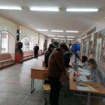 В Благовещенском районе жители голосуют на участках и дома