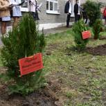 При содействии «Единой России» в Поворино открыли аллею в память об учителях-фронтовиках