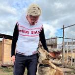 «Единая Россия» в Татарстане помогла приюту для бездомных животных