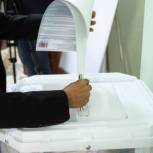 Депутаты «Единой России» Законодательного Собрания приняли участие в голосовании