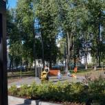 Сквер возле домов «Дворянского гнезда» на ул. Чаадаева в Московском районе открыли после благоустройства