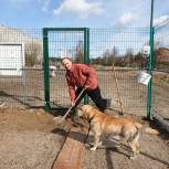 Партпроект «Защита животного мира» активно реализуется в Тверской области