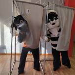 В Ярославской области начали работу интерактивные избирательные участки