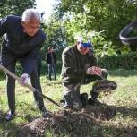Владимир Васильев в Твери высадил саженцы деревьев на территории городской клинической больницы