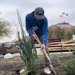 Активисты «Молодой Гвардии Единой России» высадили деревья на территории мемориального комплекса «Непокорённые» в Краснодоне (ЛНР)