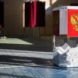 В Нижегородской области явка избирателей на 18:00 составила 28,73%