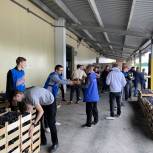 Белгородский логистический центр «Единой России» принял около 20 тонн винограда из Дагестана