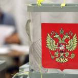 В Нижегородской области явка избирателей на 10.00 составила 8,66 процента