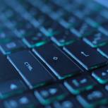 Общественный штаб: Технические специалисты начали мероприятия по недопущению некорректной работы системы на выборах