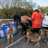 Сторонники «Единой России» помогли магаданскому приюту для бездомных животных