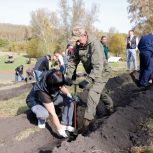 Кузбасские активисты «Единой России» приняли участие в высадке кедрового леса