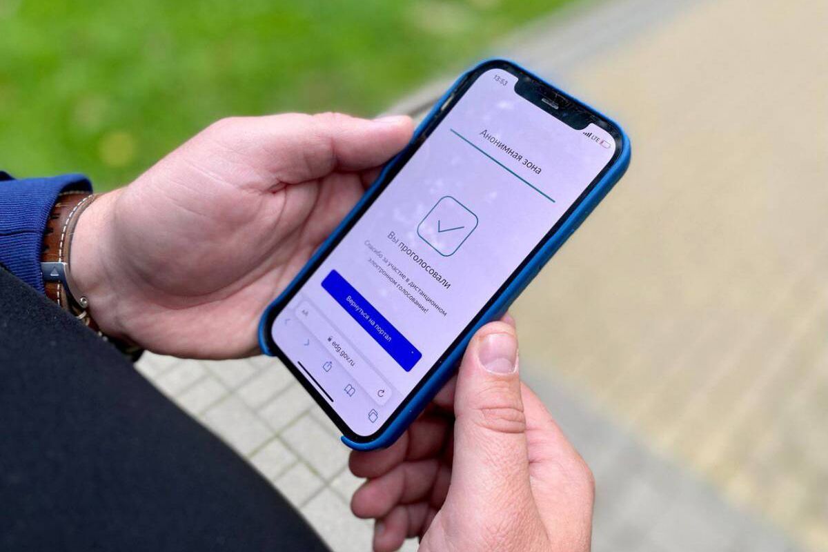 Эксперт: «Дистанционное электронное голосование для липчан оказалось  актуальным»
