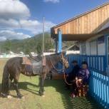 На выборы в Дзун-Хемчикском кожууне едут даже на лошадях