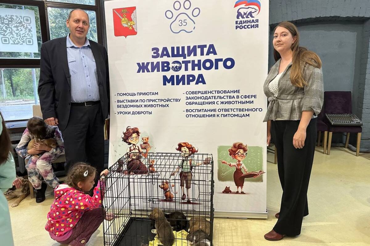 Пять щенков забрали домой с выставки в Вологде