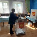 Общественный наблюдатель рассказал о ходе голосования в Боровичском районе