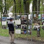 Фотовыставка "ВМЕСТЕ МЫ - СИЛА" открылась в Великом Новгороде