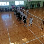 Единороссы приняли участие во II Товарищеском турнире по волейболу «Доверяй, играя»