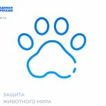 «Единая Россия» запустила акцию по сбору кормов для животных из приютов «вЕРный друг»