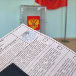 Жители Тольятти и Сызрани выбирают главу региона и депутатов городских парламентов