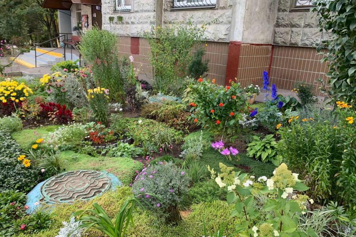 Самый цветочный двор Шымкента получит 3 млн тенге