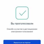 Александр Борисов: Будущее - за дистанционным электронным голосованием