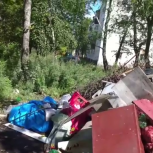Мусор по ул. Попова,22 в Елизове должна будет убрать управляющая компания