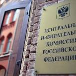 В ЦИК высоко оценили явку на выборах в Москве
