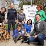 В Москве «Единая Россия» организовала выставку собак из приютов