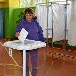В Путятинском районе проходит трехдневное голосование по выборам в депутаты Думы первого созыва