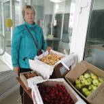На Вологодчине жители участвуют в акции "Яблочный спас"
