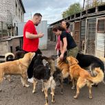 Сторонники «Единой России» передали помощь в приют для животных в Санкт-Петербурге