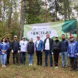 Егорьевск присоединился к партийной акции «Чистый лес»