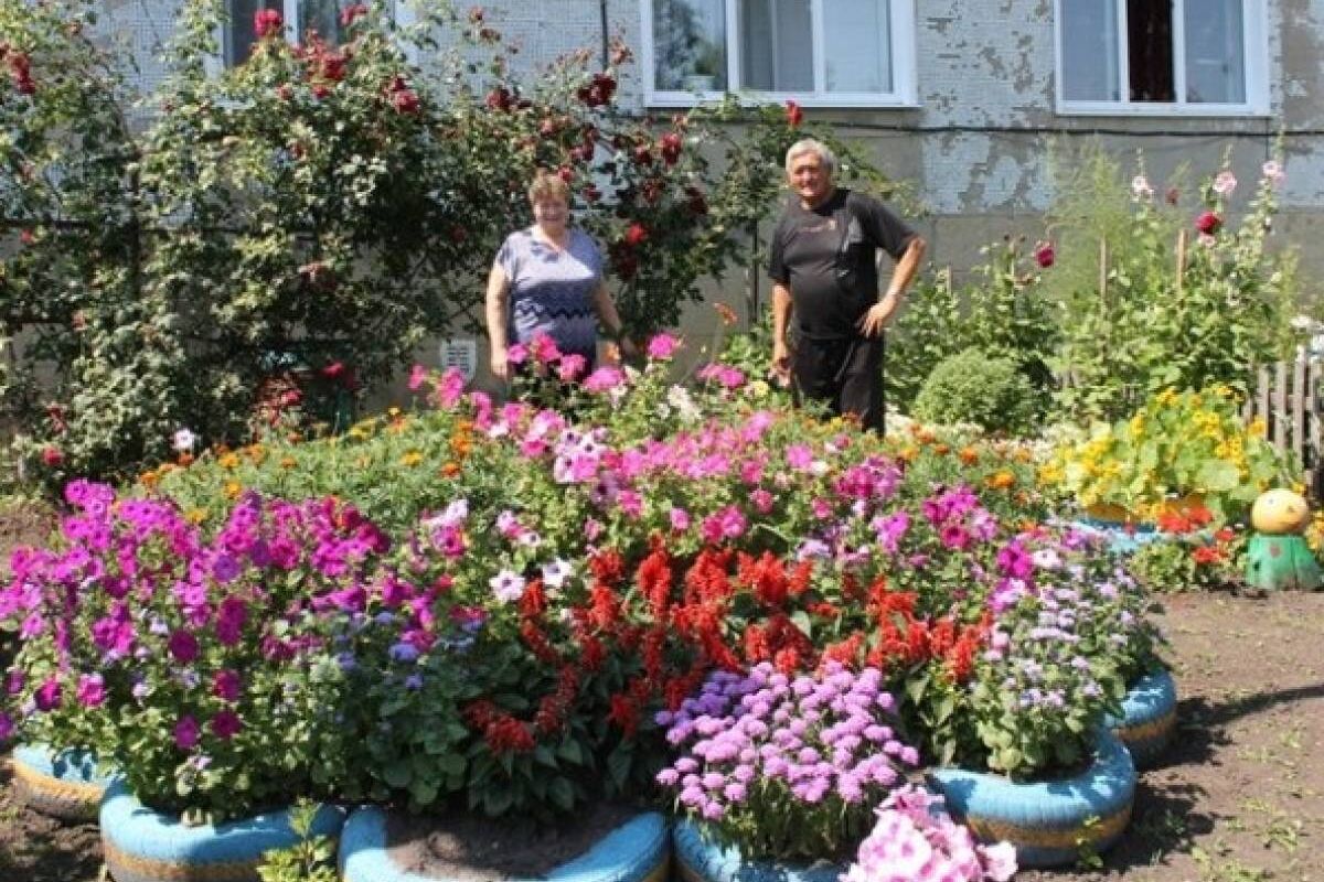 В Пензе продолжается прием заявок на конкурс «Лучший дом. Лучший двор» |  01.09.2023 | Пенза - БезФормата