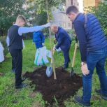 Депутат «Единой России» Николай Бондаренко вместе со школьниками посадил клёны на Аллее памяти в Приморском районе