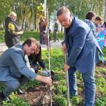 В Кировском районе Перми высадили черёмуховую аллею в память о погибших воинах – участниках СВО