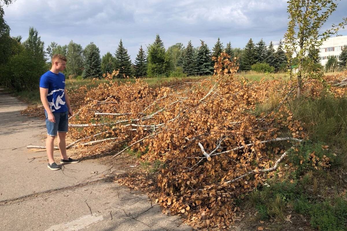 В Ульяновске ликвидировано 7 из 11 несанкционированных свалок