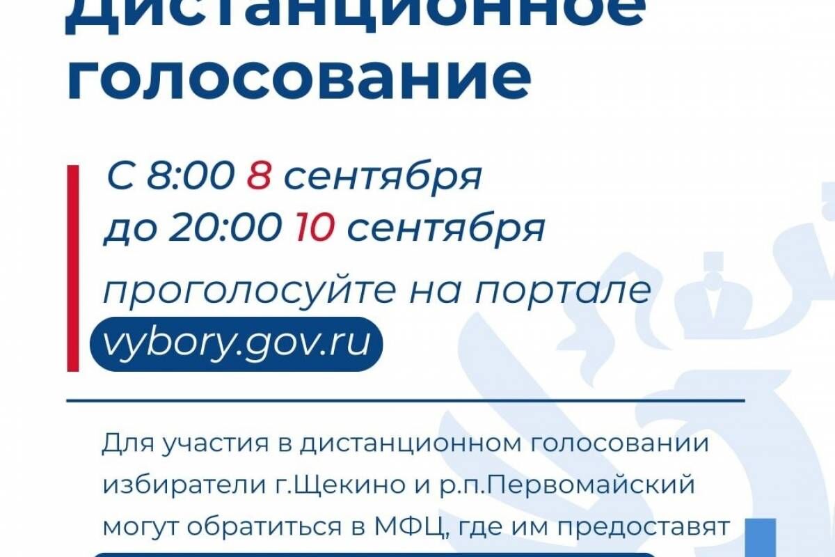 В двух муниципалитетах региона проводится дистанционное электронное  голосование | 08.09.2023 | Тула - БезФормата