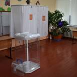 В Ермишинском районе выбирают глав и депутатов