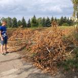 В Ульяновске ликвидировано 7 из 11 несанкционированных свалок