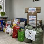 Сторонники «Единой России» в Петербурге собрали более 400 килограммов кормов для животных из пострадавшего от пожара приюта
